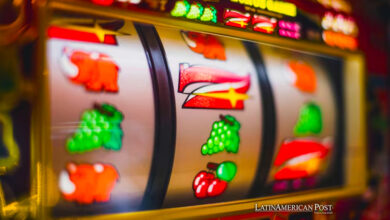 A Comprehensive Guide to Online Casinos: Discovering the Thrills of Zeus138