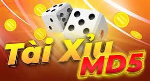 Tài Xỉu MD5 – Top Game Tài Xỉu Guide