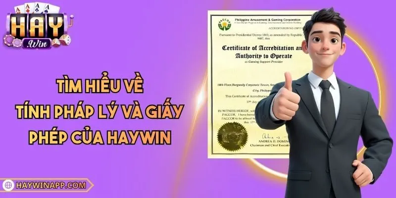 Haywin Casino Homepage Introduction: A Complete Guide to the Central Hub of Online Gaming Experience