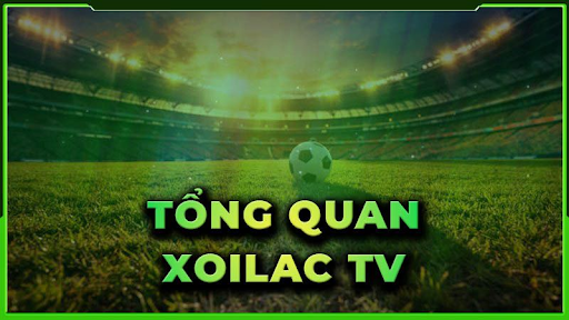 Xem premier league ở đâu? Gợi ý nền tảng theo dõi bóng đá chất lượng 2026