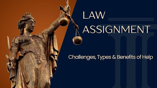 Law Assignment: Challenges, Types & Benefits of Help Services !
